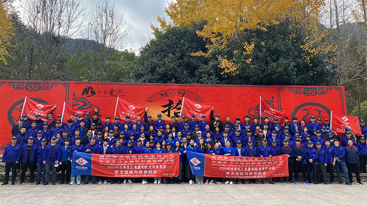 China QILI Holding Group